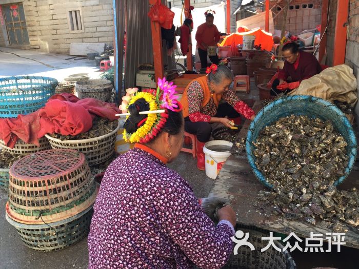 蟳埔村-图片-泉州生活服务-大众点评网