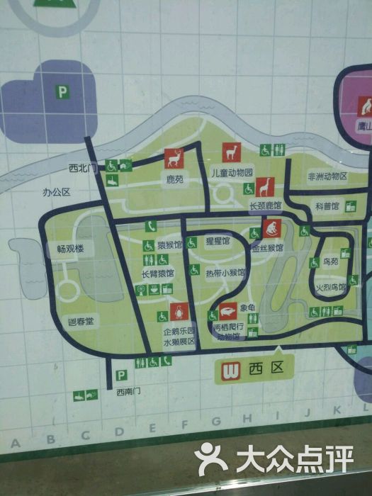 北京动物园图片 第4234张