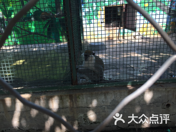 淄博动物园图片 第18张