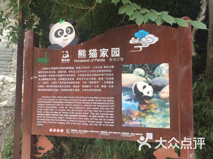 熊猫谷旅游区图片 第57张