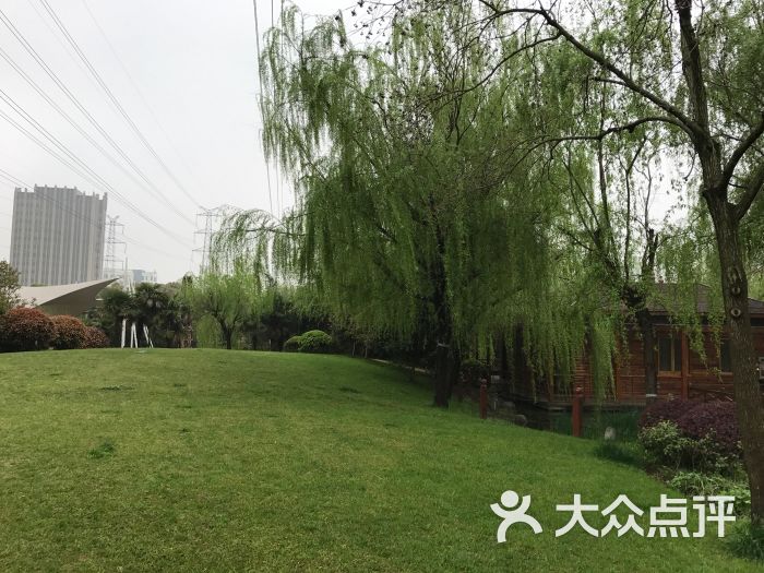 漕河泾开发区公园图片 - 第3张