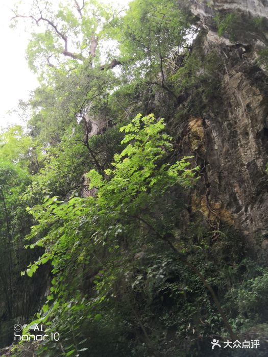 五星的景区,天然的石洞,如入天然的冰箱[.-龙