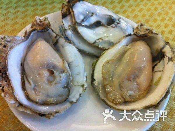 横琴蚝_沙井鲜蚝_横琴蚝海鲜新城