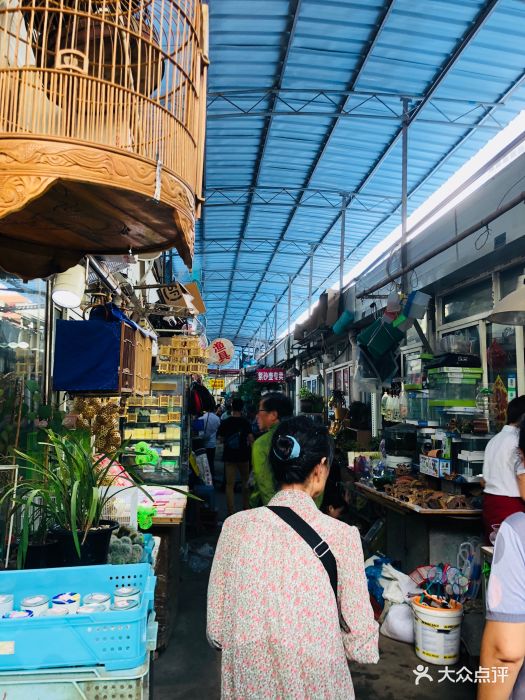 万商花鸟市场(西藏南路店)图片 - 第12张