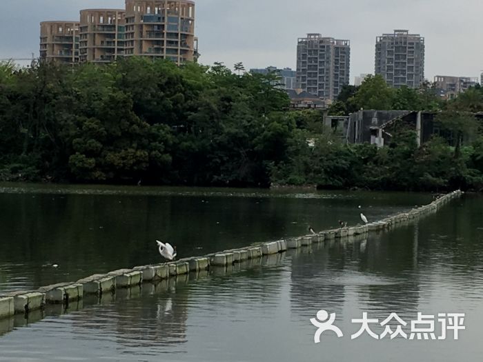 香蜜湖度假村