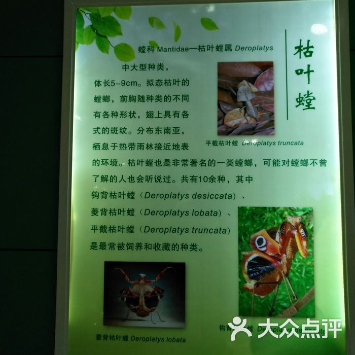 上海昆虫博物馆