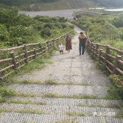 森林营地怎么搭_森林旅居营地