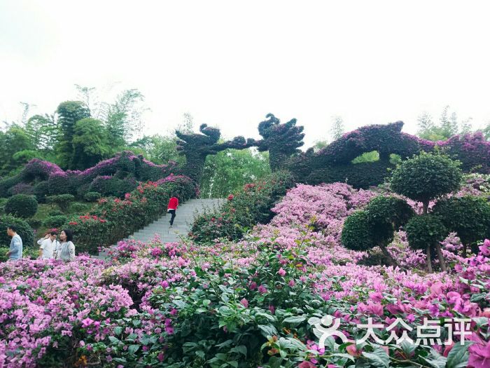 东南花都花博园图片 - 第80张
