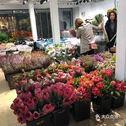 东风国际花卉市场