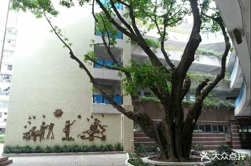 广州市荔湾区宝源小学图片 第3张