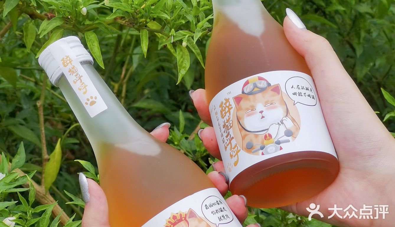 最近很喜欢喝的一款微醺小酒:醉猫呼呼