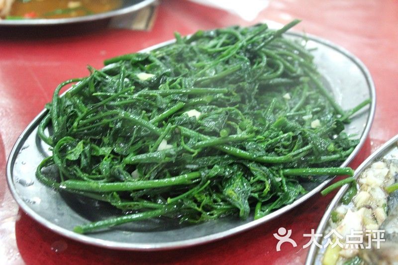 五指山野菜