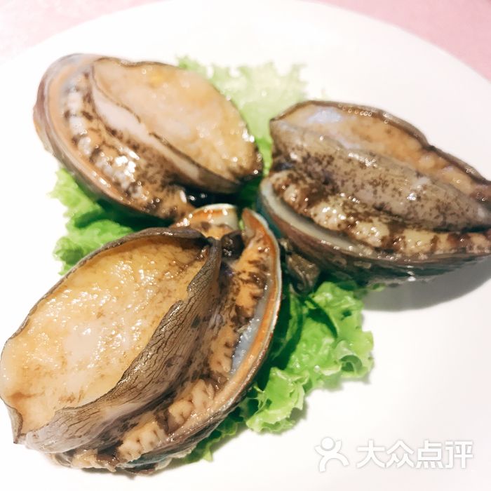 上房火锅鲍鱼图片 - 第307张