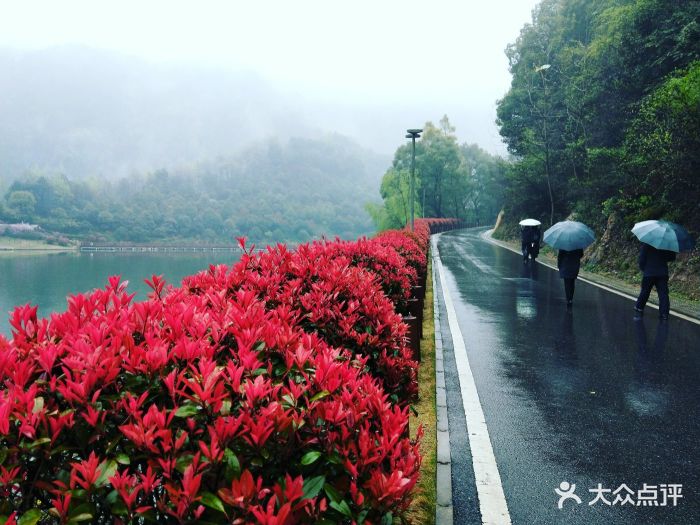 桃花岭景区图片