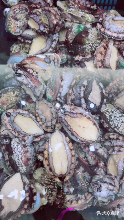 阳光海鲜城(太仓万达西侧店)图片 - 第13张