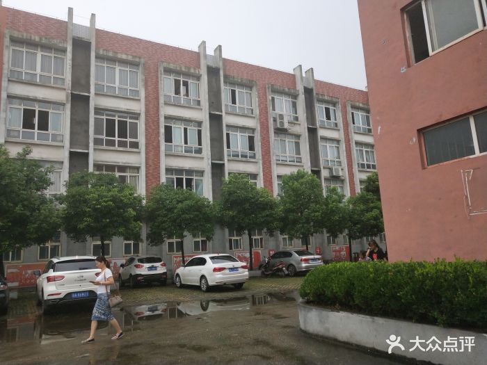 扬子洲学校图片 - 第4张