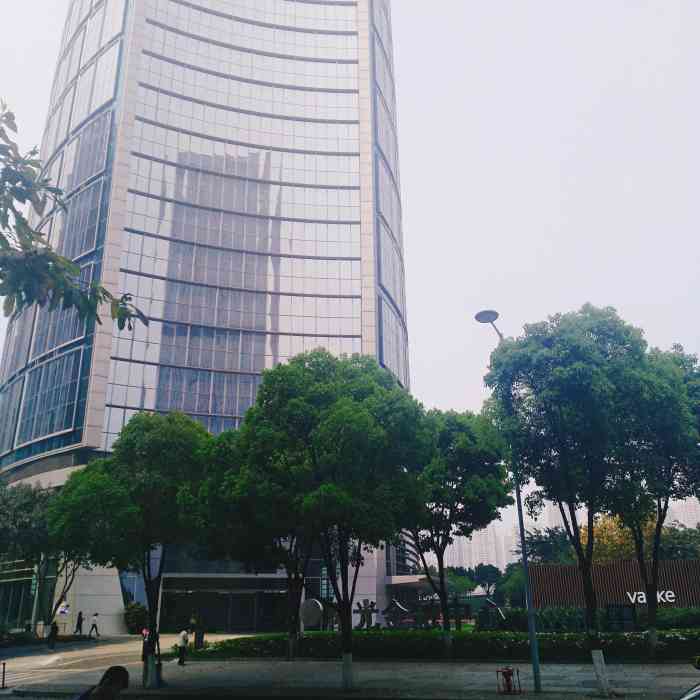 阳光金融中心"这栋楼位于渝中区化龙桥街道,依山傍水,看.