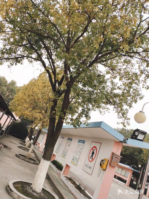 三垛初级中学-图片-高邮市学习培训-大众点评网