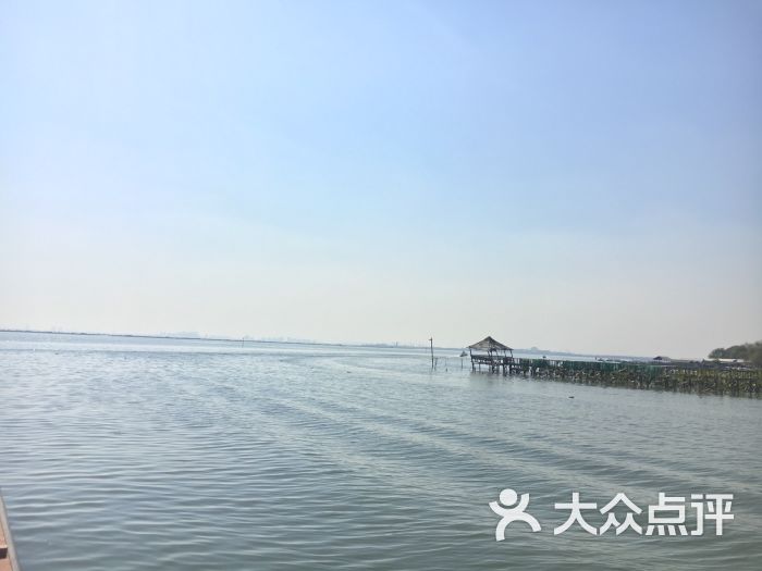 阳澄湖生态休闲旅游度假区图片 第18张