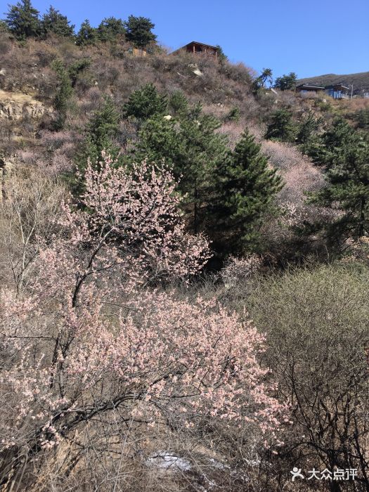 桃花沟-图片-太原周边游-大众点评网