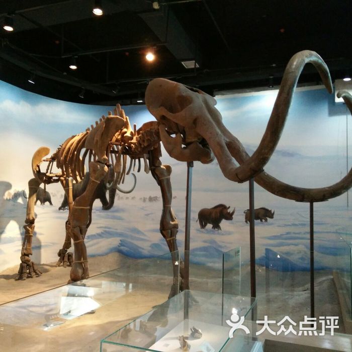 古生物博物馆图片-北京博物馆-大众点评网