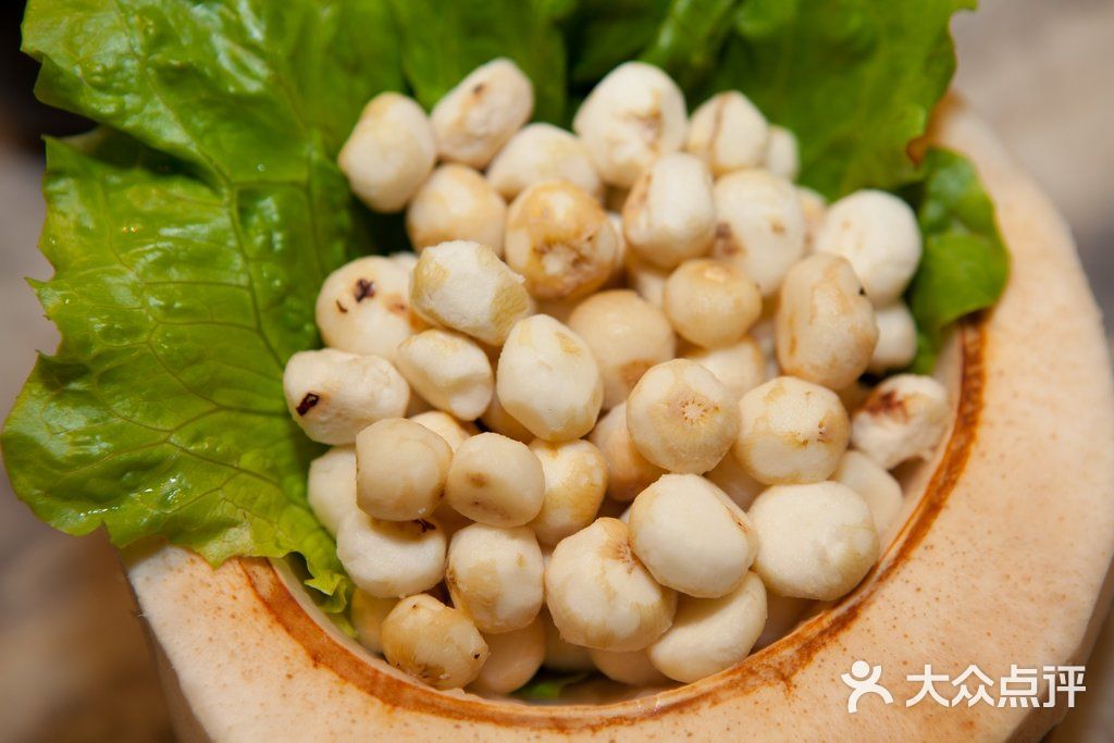 野生珍珠小马蹄