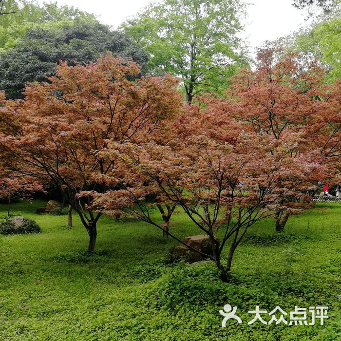 岳麓山风景区