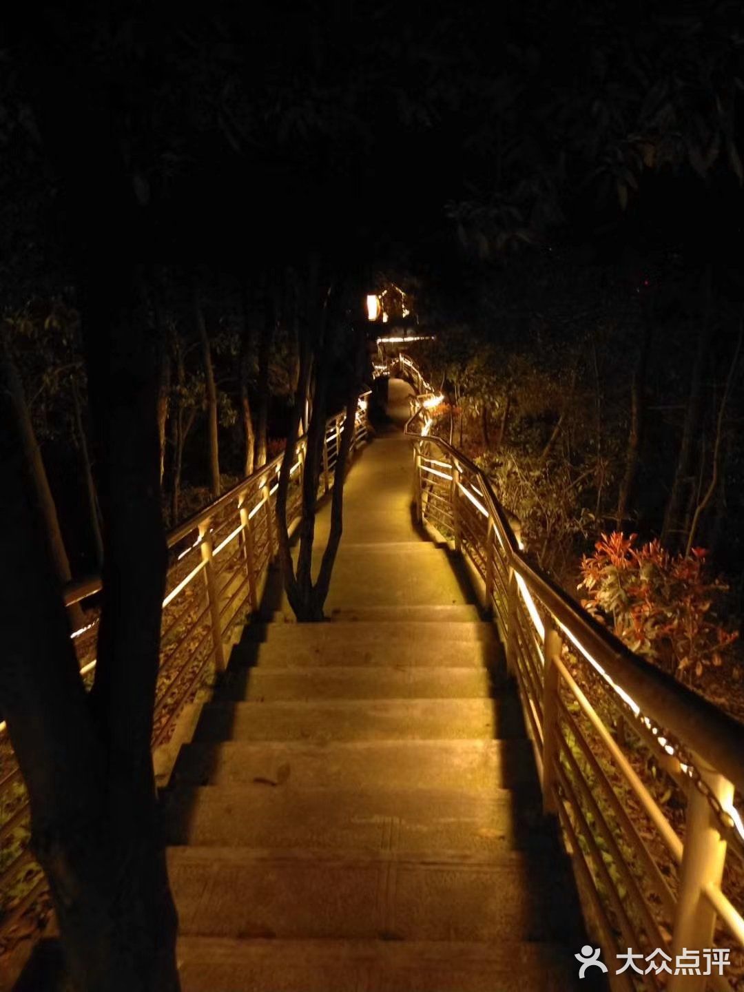 地点重庆南岸区福寿路壹华里夜景公园