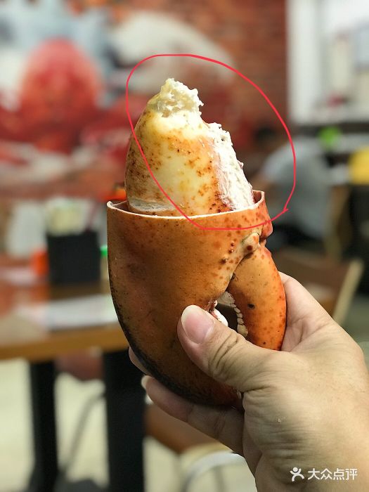 白灼龙虾钳