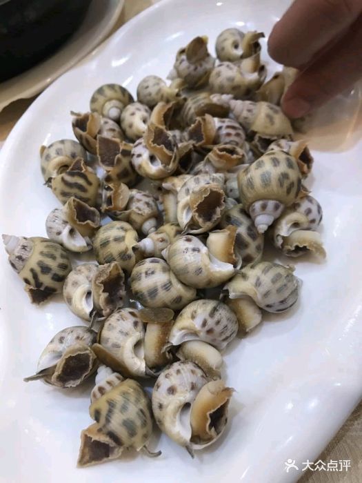 七一海鲜酒楼-图片-吴川市美食-大众点评网
