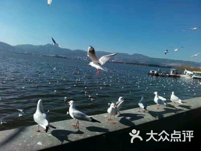 云南华夏国际旅行社有限公司-图片-苏州生活服务