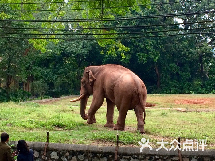 广州动物园图片 第3张
