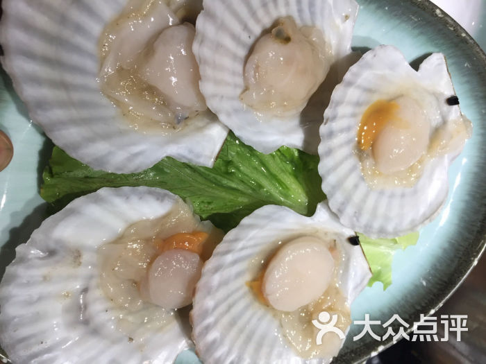 朴田泰式海鲜火锅(丝竹路店)扇贝图片 - 第12078张