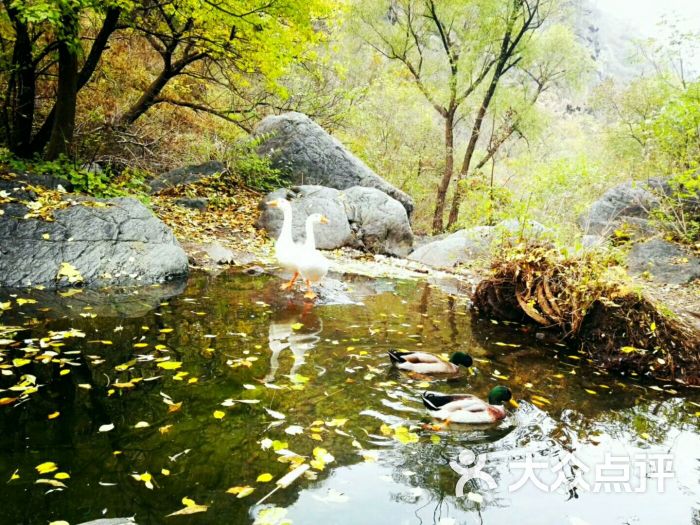 京西十八潭风景区图片 - 第18张