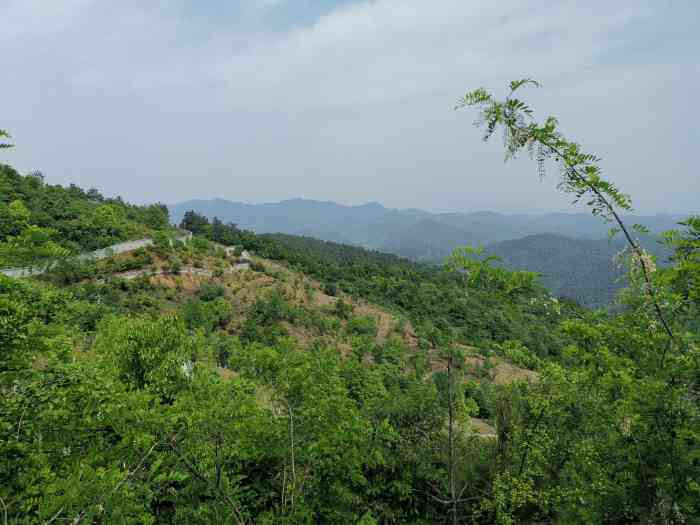 四方山植物园-"四方山植物园在十堰四方山山顶上,四方山在.