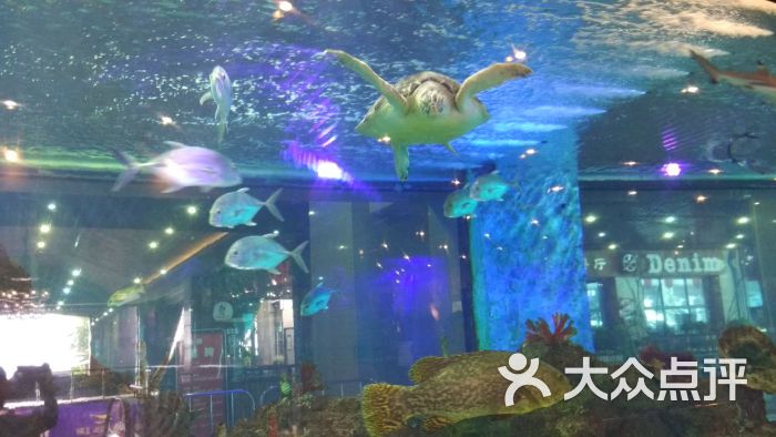 鱼唱活鱼馆(鎏嘉码头店)图片 - 第2张