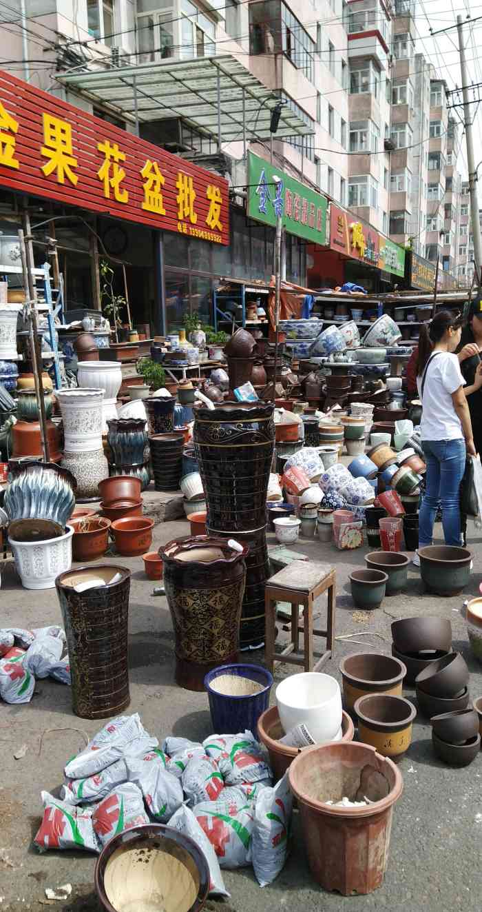 哈尔滨道外花鸟鱼市场-"道外区的花鸟鱼市在北环路三