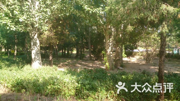 呼和浩特植物园图片 - 第9张