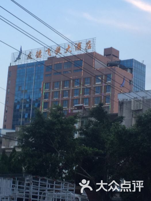 友德飞旋大酒店图片 第4张