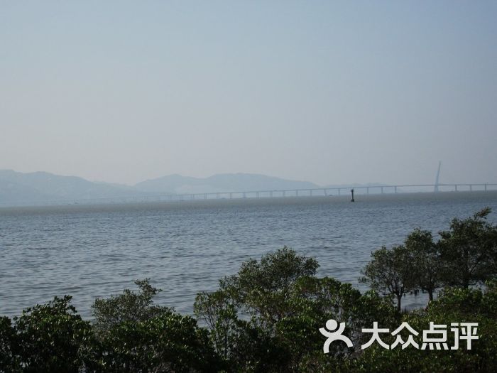 红树林海滨公园