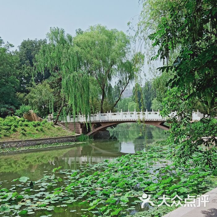 紫竹院公园