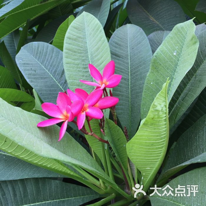 卡米拉小阿姨上传的图片