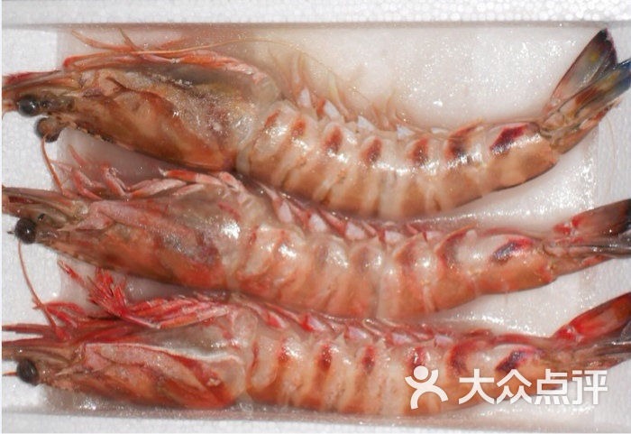 东海野生大明虾