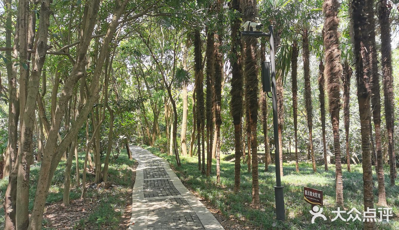 南通啬园-烧烤溜娃必去