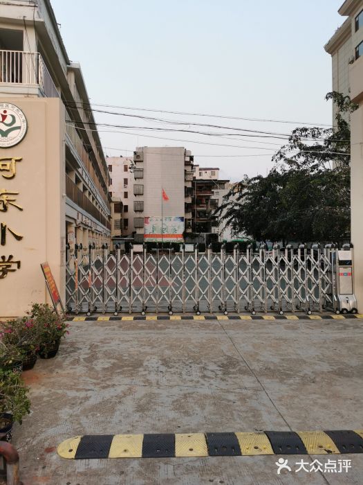 三亚市吉阳区河东小学图片