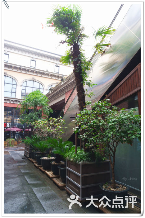 星宝风情街内部环境图片 第21张