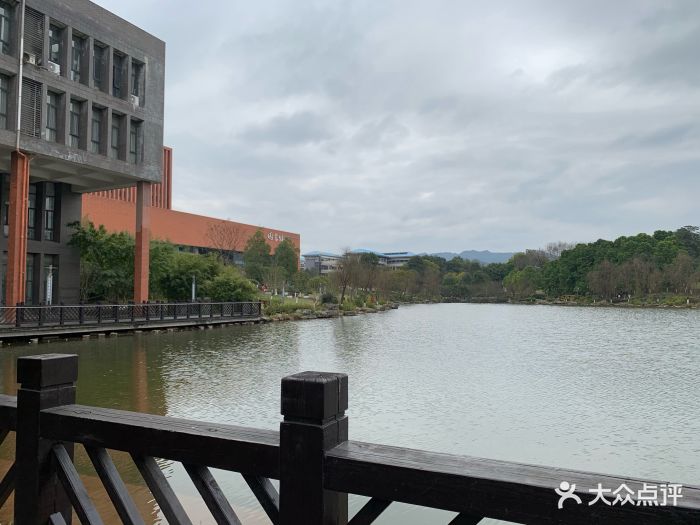 重庆大学(虎溪校区)图片