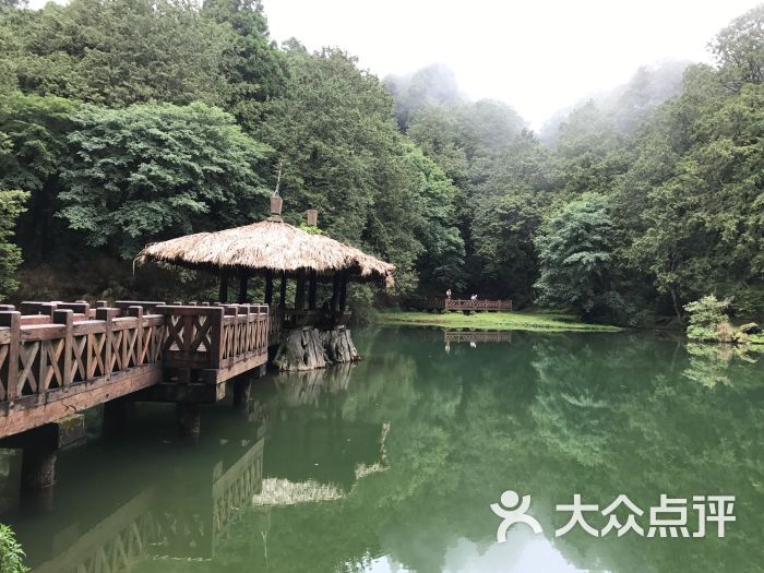 阿里山国家风景区-图片-阿里山景点玩乐-大众点评网