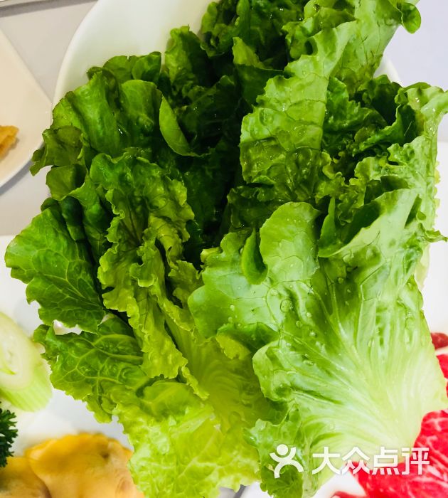 洋房火锅(新天地店)唐生菜图片 - 第7张
