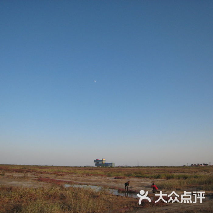 黄河口生态旅游区远望楼图片-北京自然风光-大众点评网